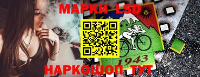 шишки Кимры