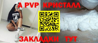 шишки Кингисепп