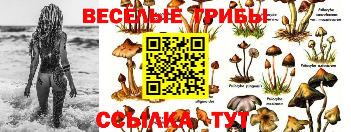 Псилоцибиновые грибы Psilocybe  Вход с VPN  Ханты-Мансийск 
